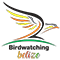 Belize birding tours logo